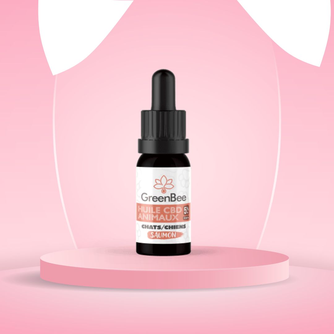 Huile de CBD et saumon pour chat