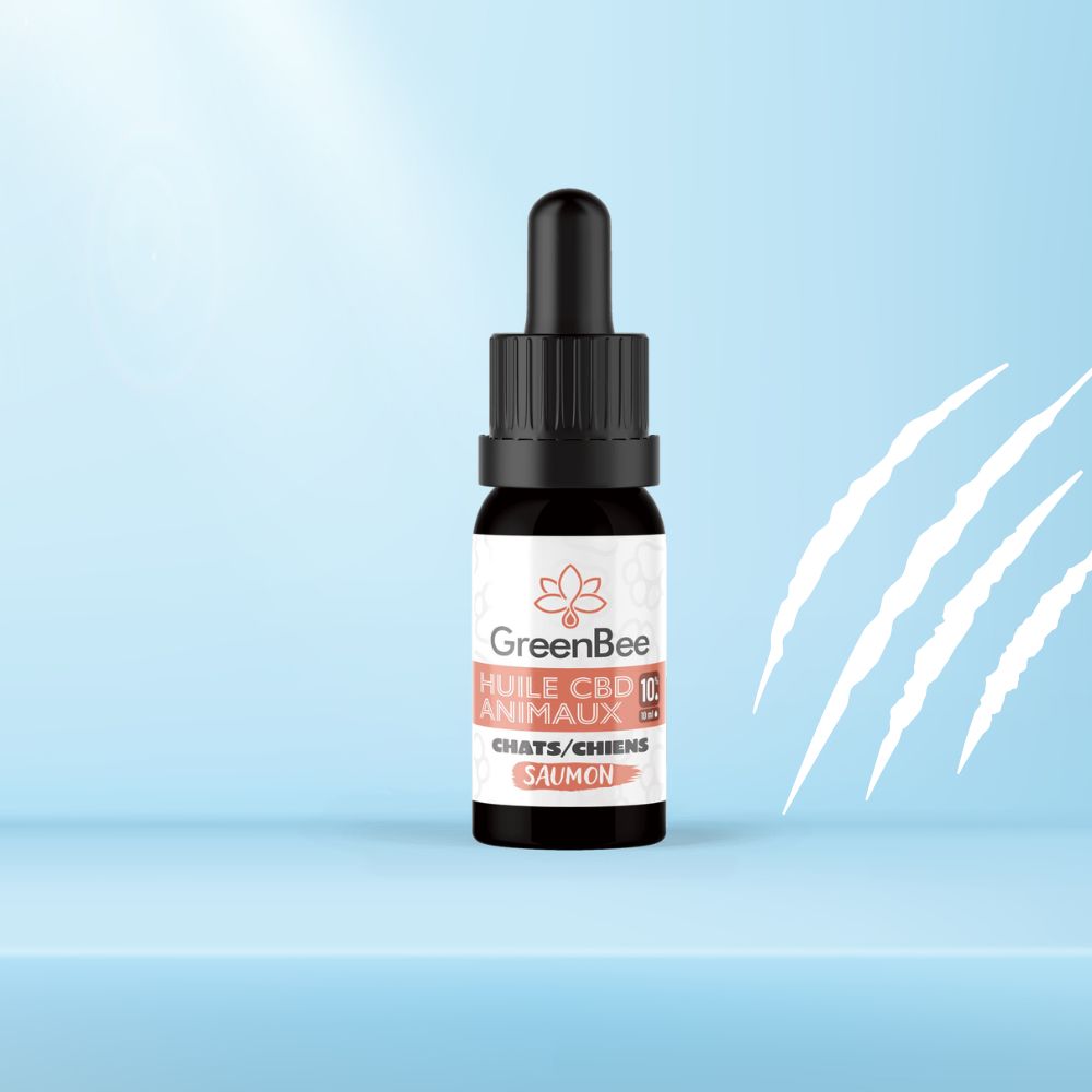 CBD chien 10% bio et bretonne - Greenbee  Naturopapatte