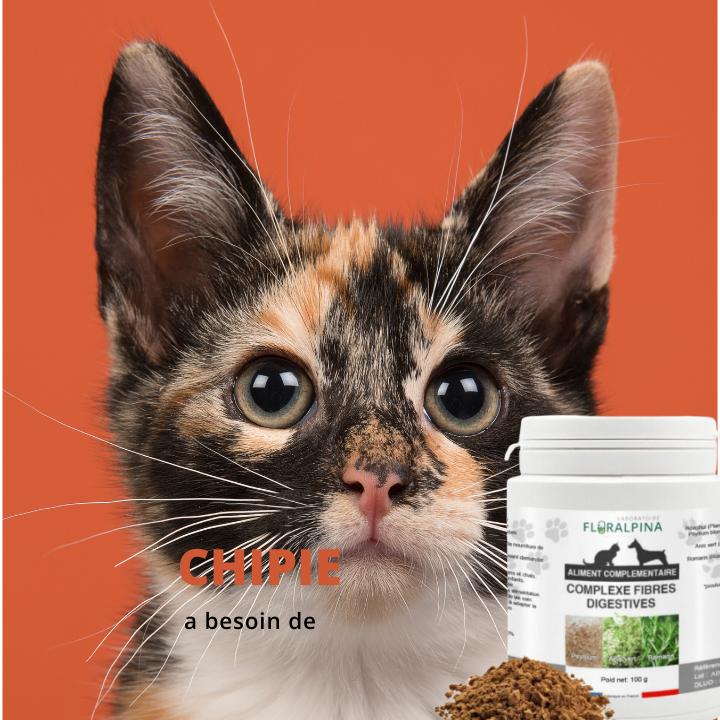solution naturelle constipation des chats et chiens