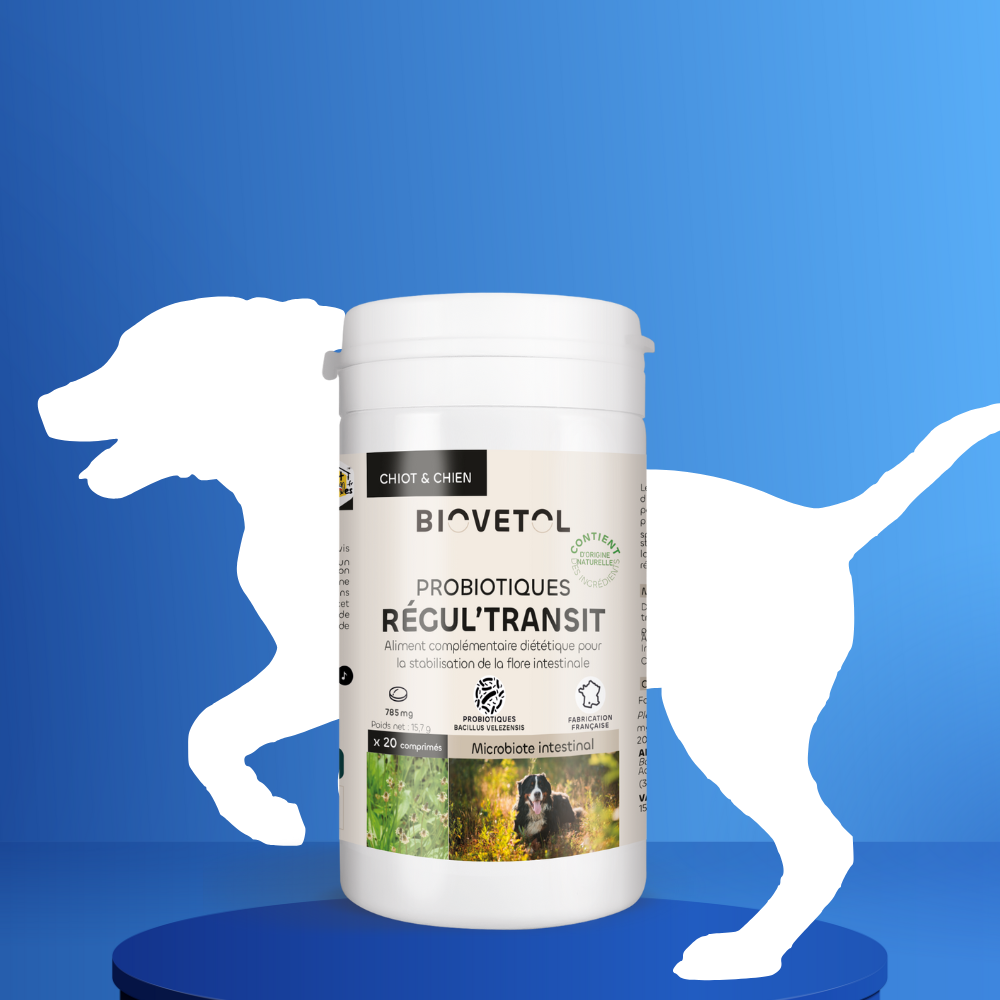 Probiotiques chien - Régul'transit