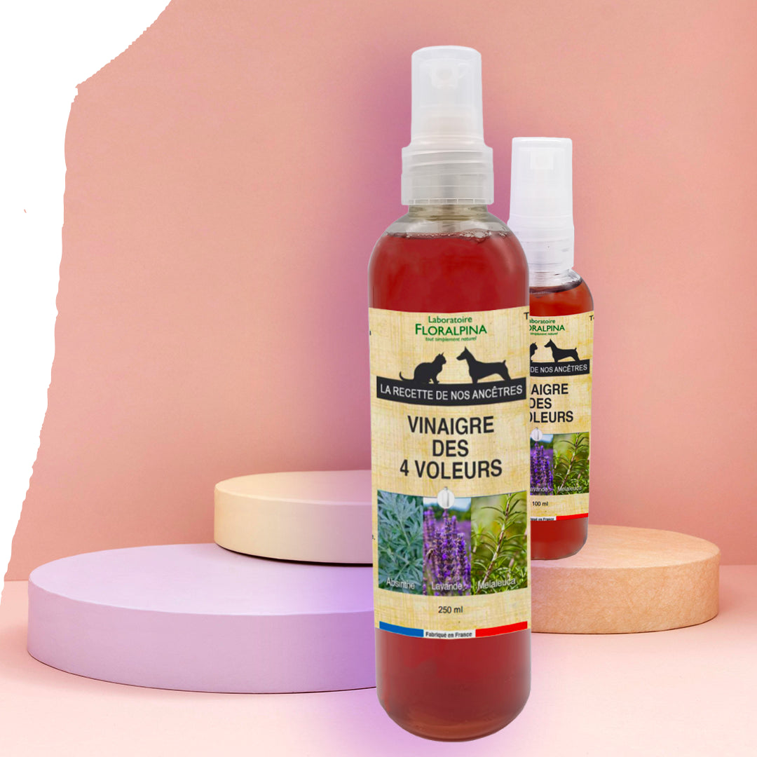 vinaigre-des-4-voleurs-chat-chien