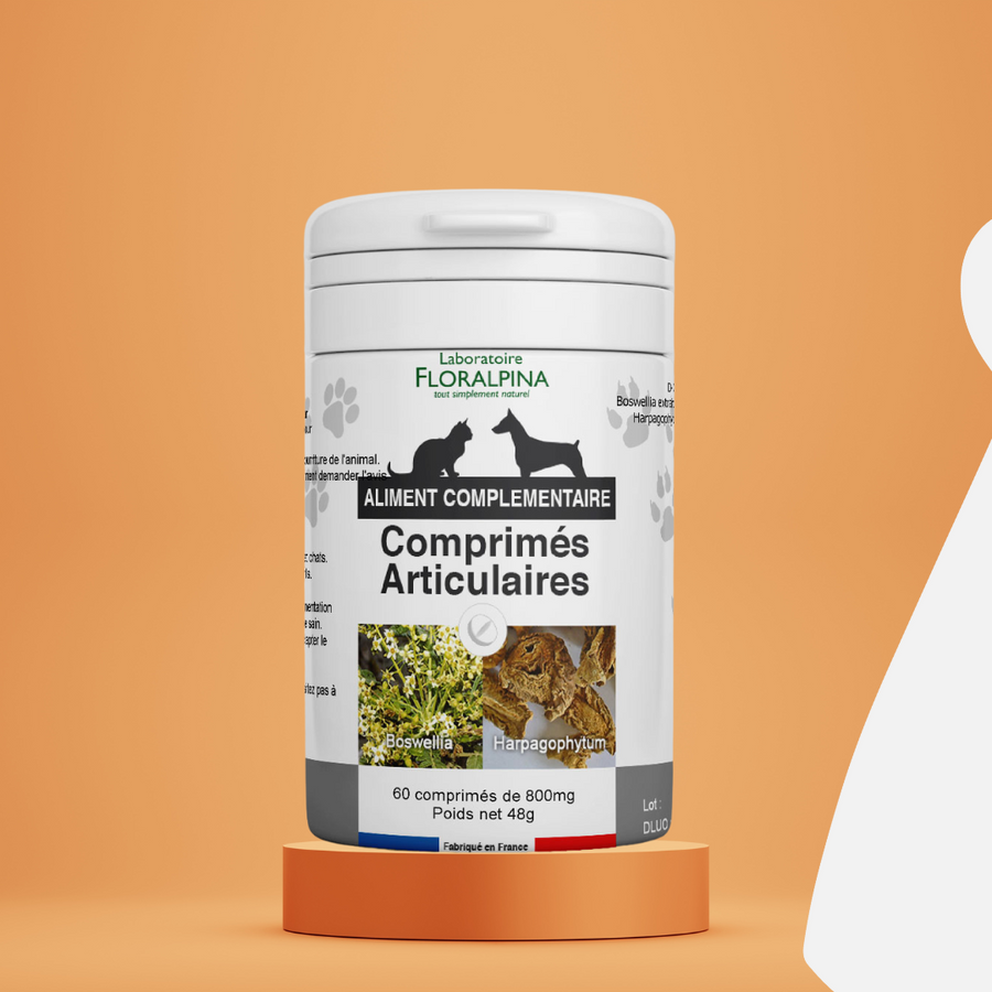 solution naturelle contre l'arthrose du chien et du chat