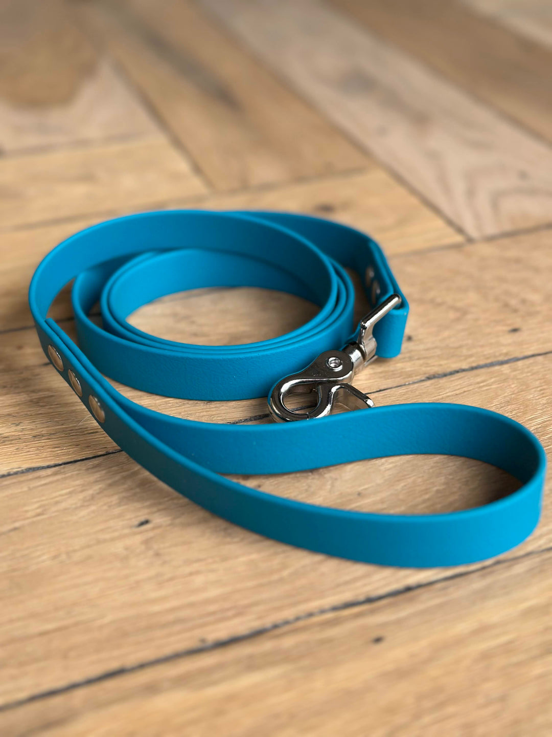 laisse-biothane-turquoise-chien