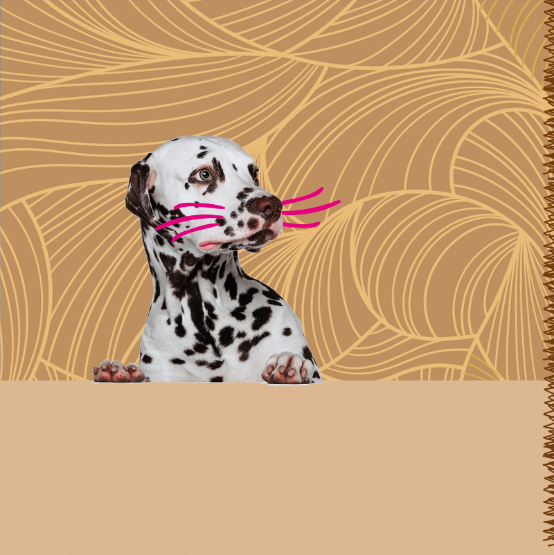 chien triste