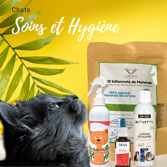 Soins et hygiène pour chat