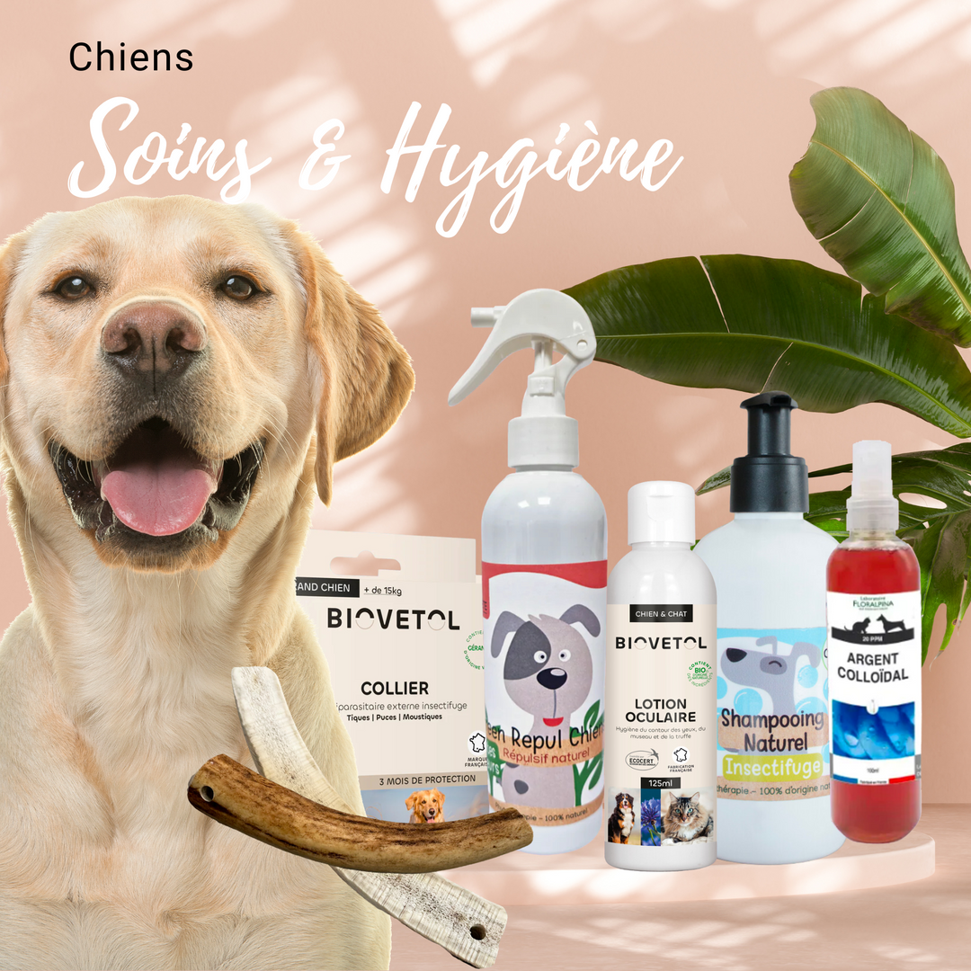 Soin & hygiène chien