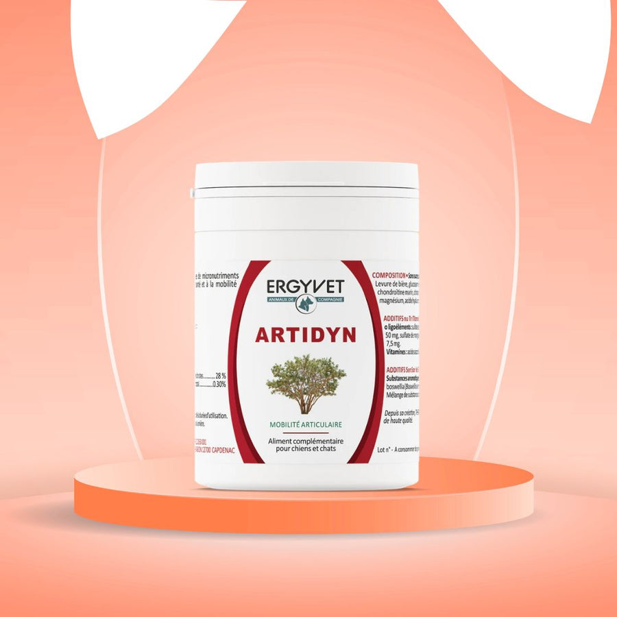 Artidyn poudre naturelle pour la mobilité articulaire des chats et des chiens