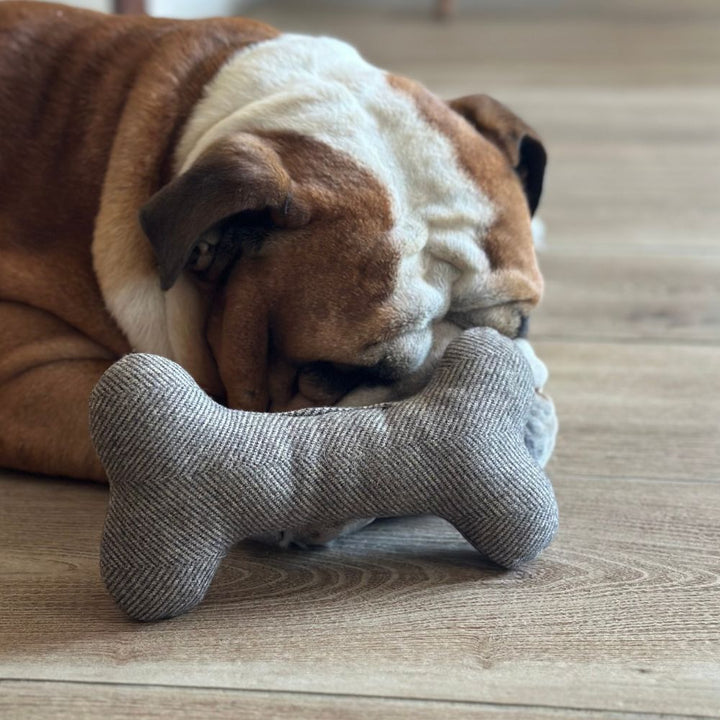 Jouets à mâcher