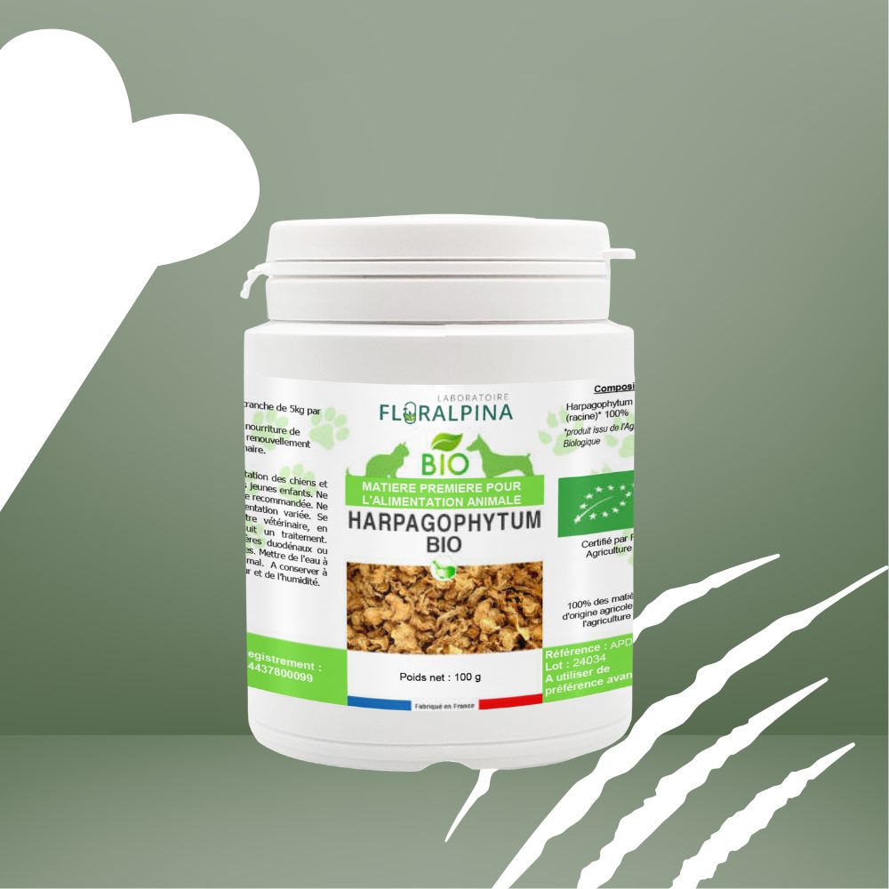 Harpagophytum pour chien et chat bio