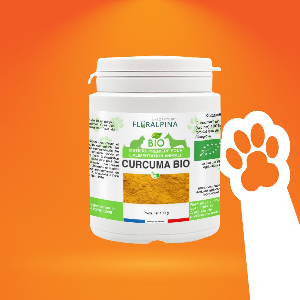 Curcuma chien et chat bio