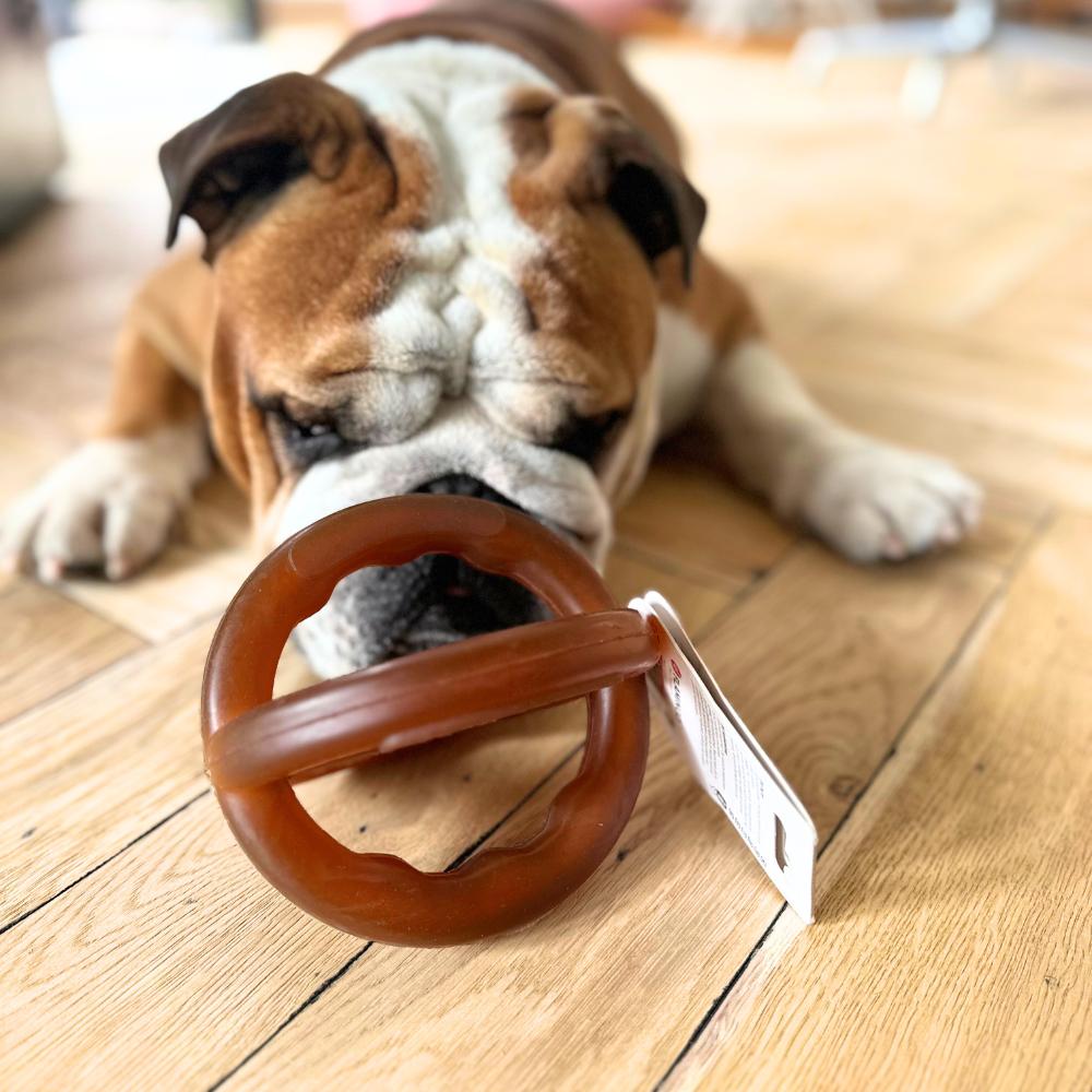 Cross balle Rubba - cadeau pour chien
