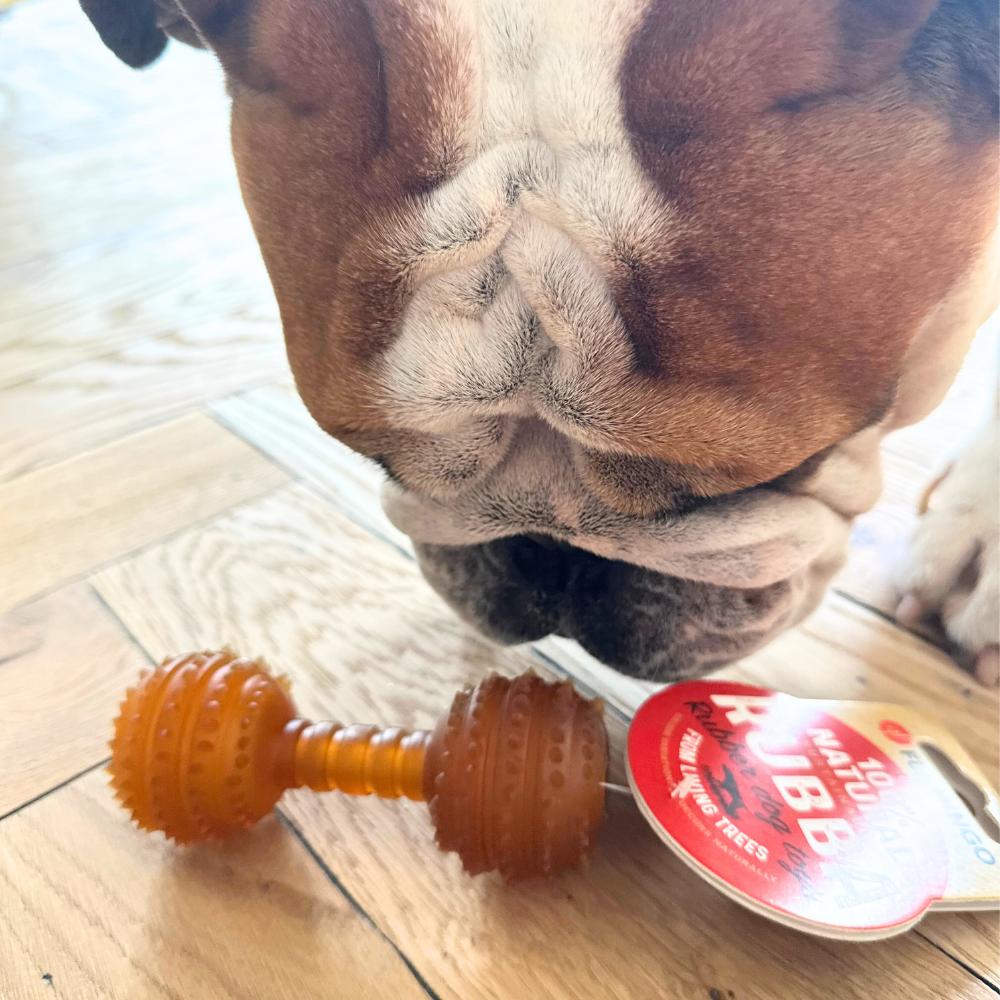 jouet-chiot-caoutchouc-souple
