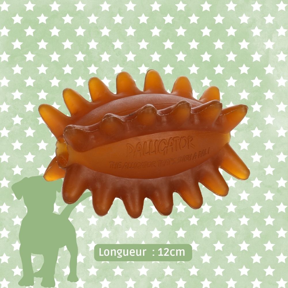 Ballon Rugby - jouet chien indestructible