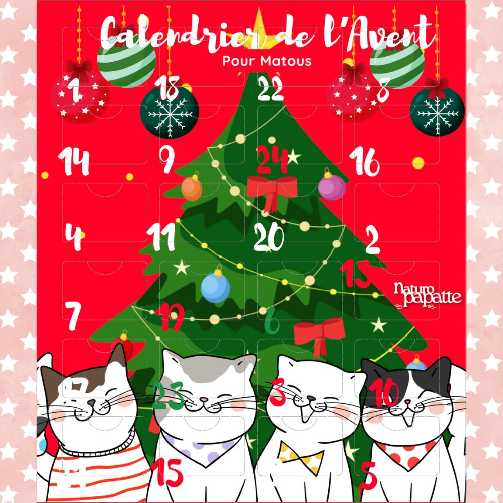 Calendrier de l'Avent chat