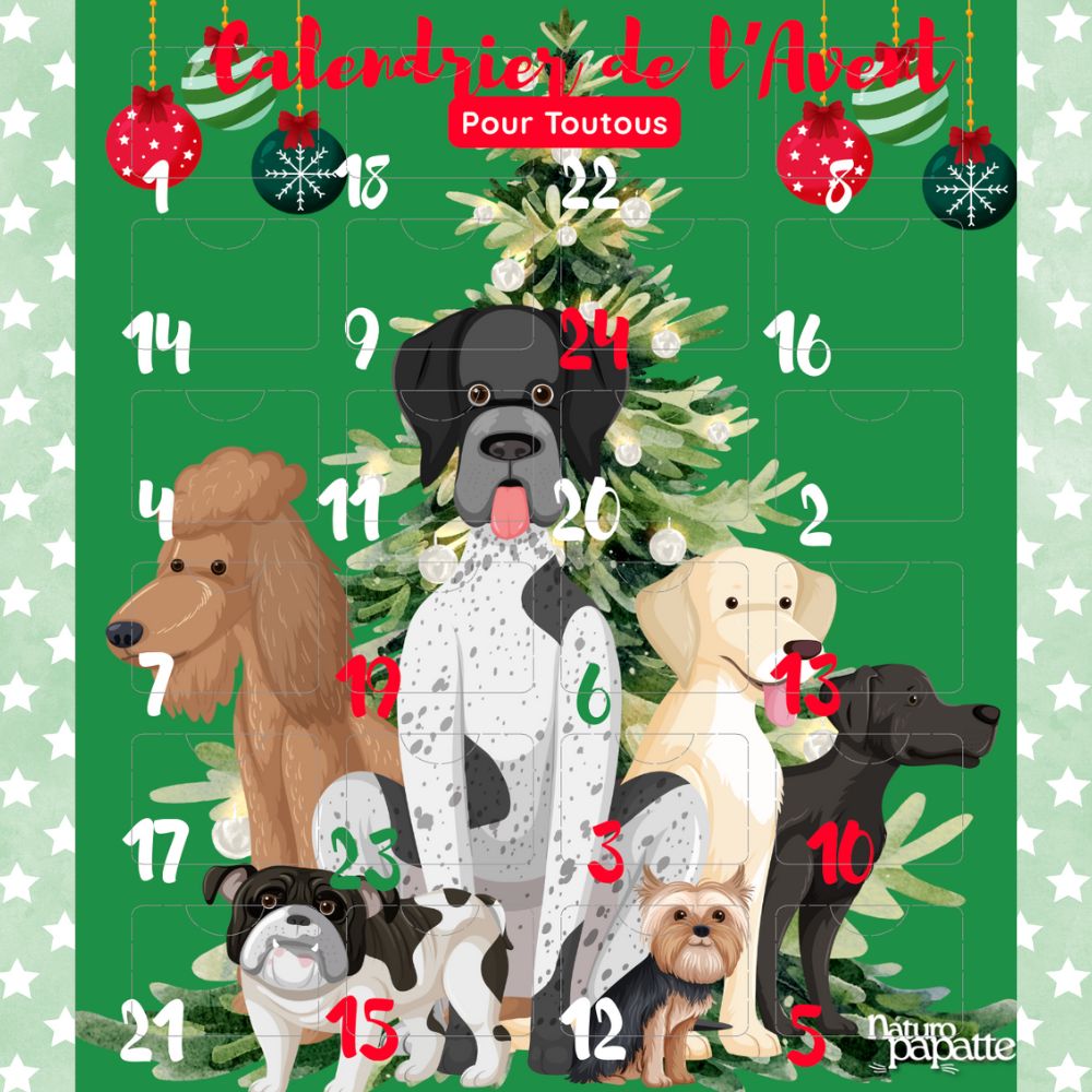 calendrier-de-l-avent-chien