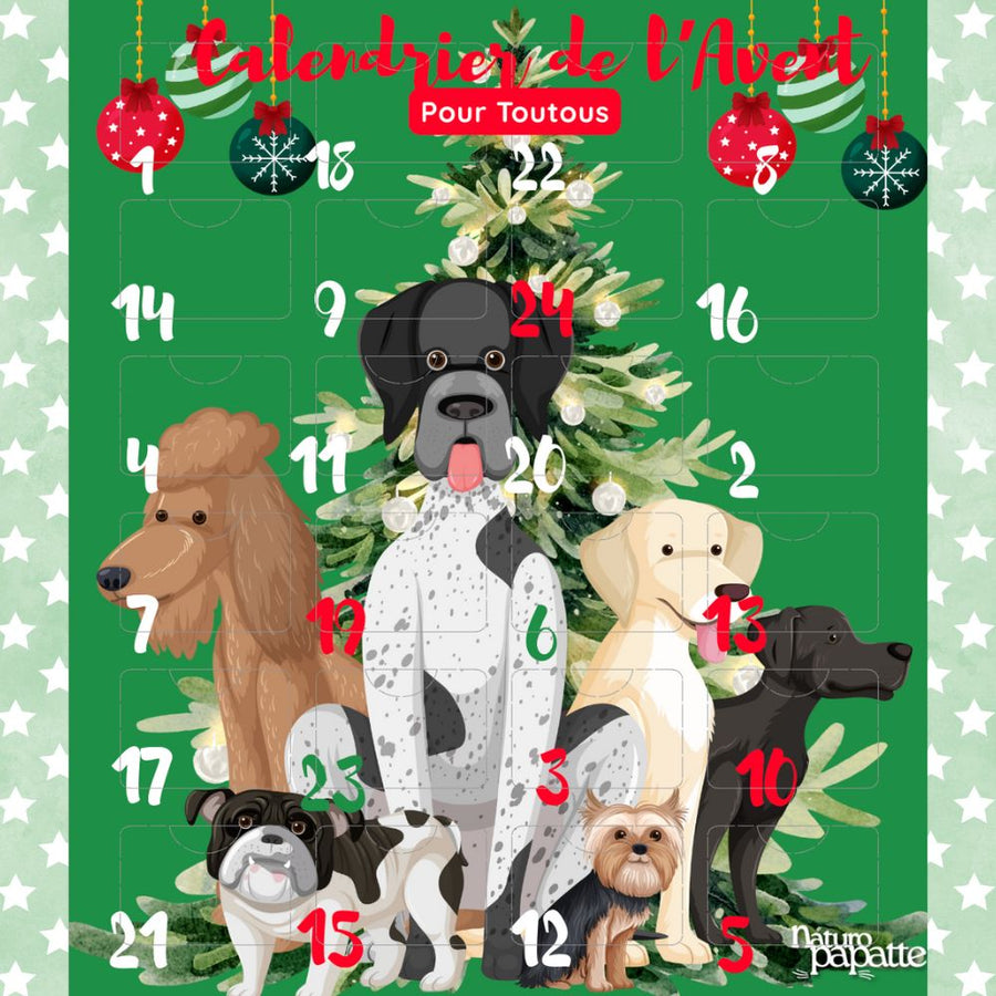 calendrier-de-l-avent-chien