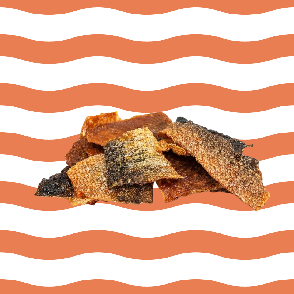 Peau de saumon pour chien