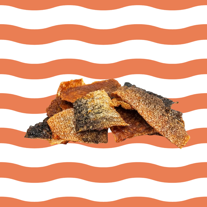 Peau de saumon pour chien