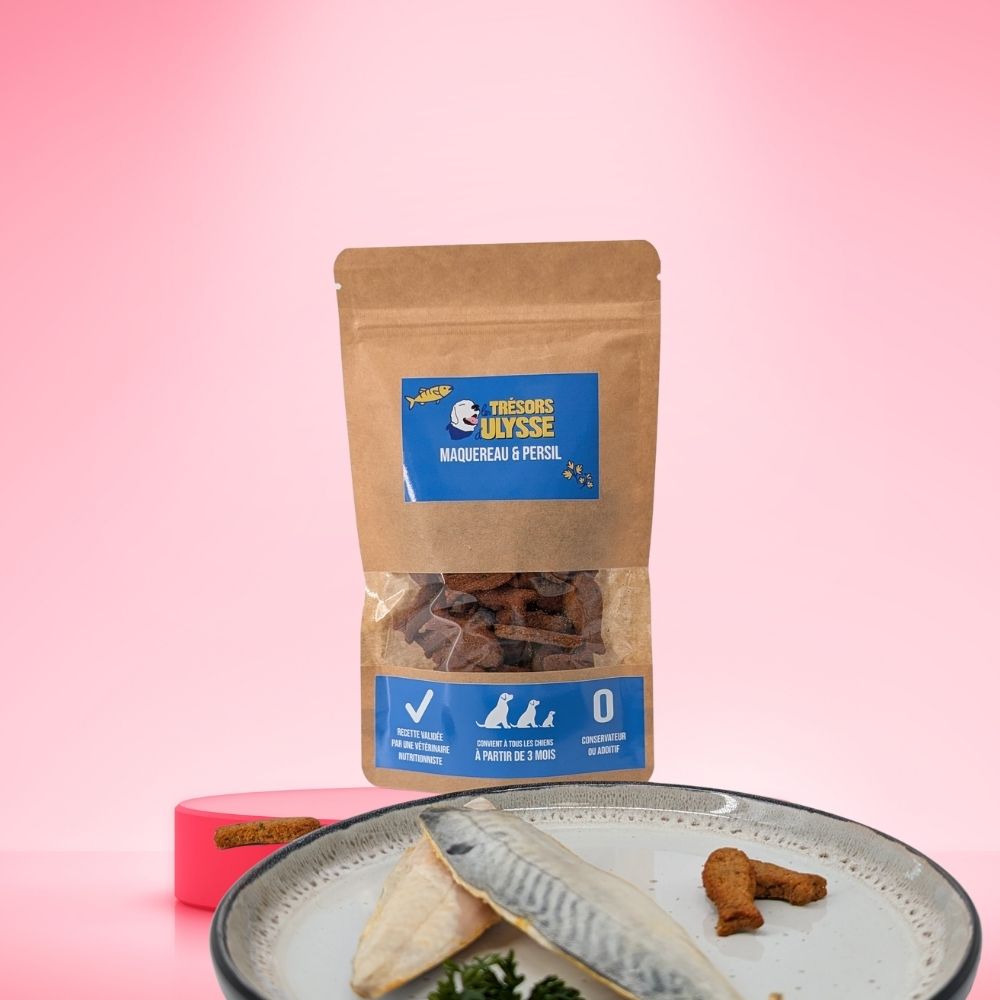 Gâteaux pour chien - Recette naturelle  et gourmande au maquereau