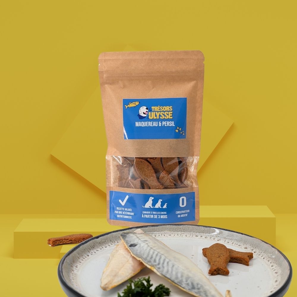 Gâteaux pour chien - Recette naturelle  et gourmande au maquereau