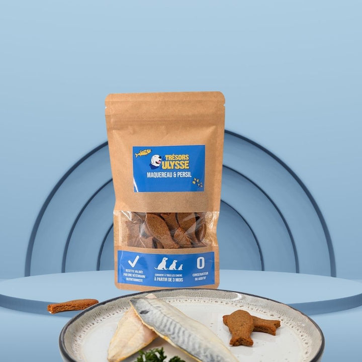 Gâteaux pour chien - Recette naturelle  et gourmande au maquereau