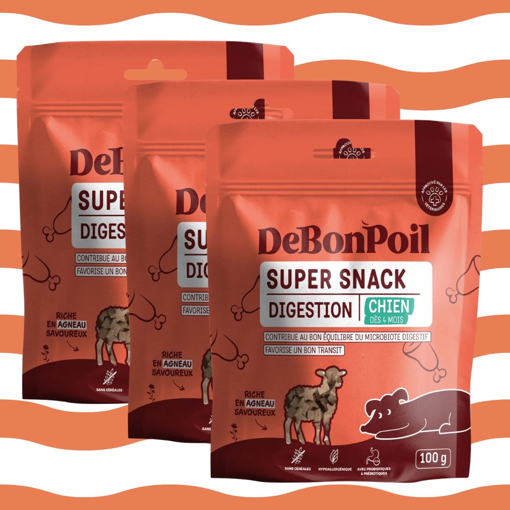 lot de 3 friandises chien digestion de Bon poil