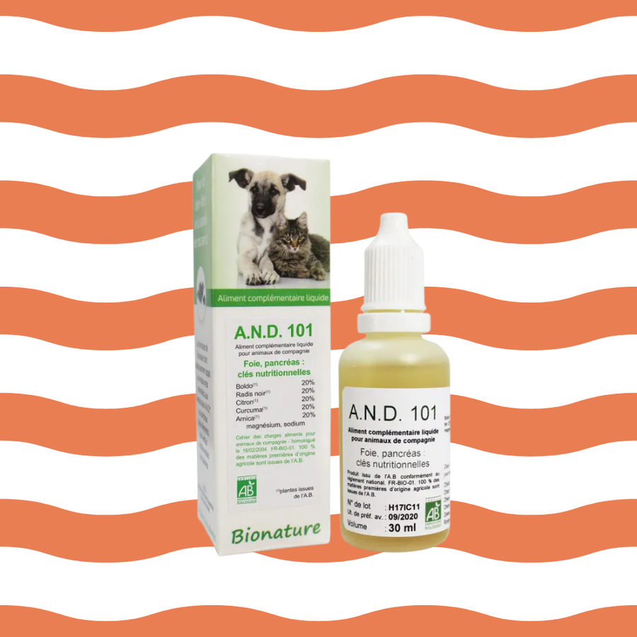solution-naturelle-pancreatite-chat-AND101-Bionature