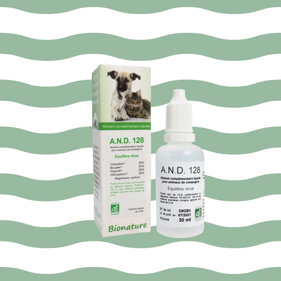 insuffisancz-renale-phyto-chat)chien