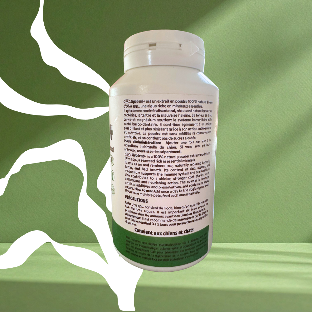 Mode-administration-Algadent+