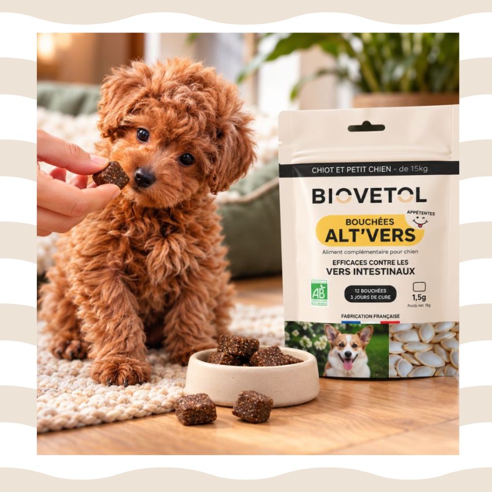 vermifuge bouchées soft chew