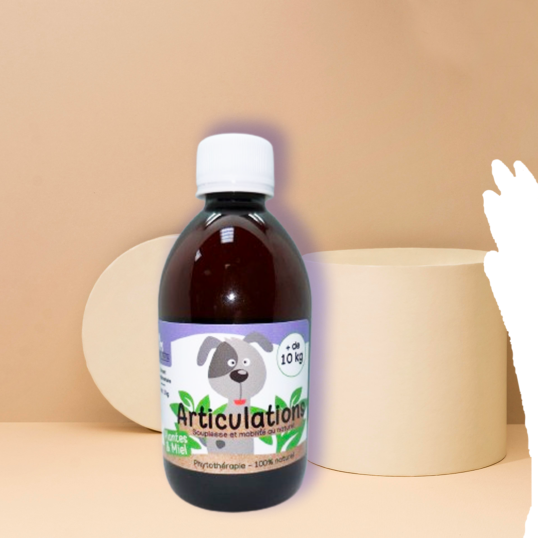 Sirop naturel articulation chien