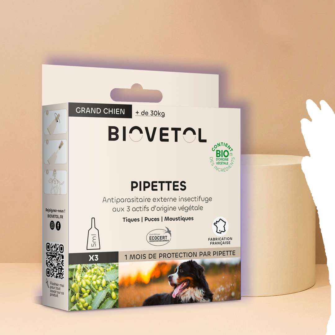 Pipette anti puce chien