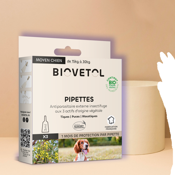 Pipette anti puce chien