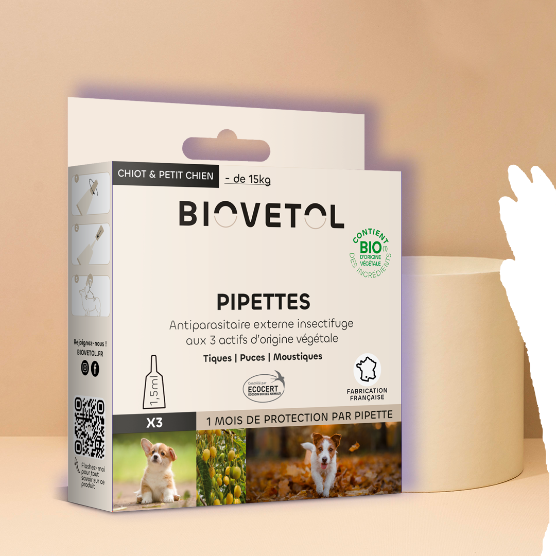 Pipette anti puce chien