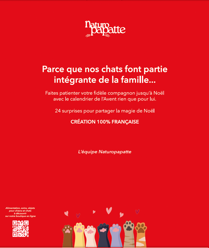 Calendrier de l'Avent chat
