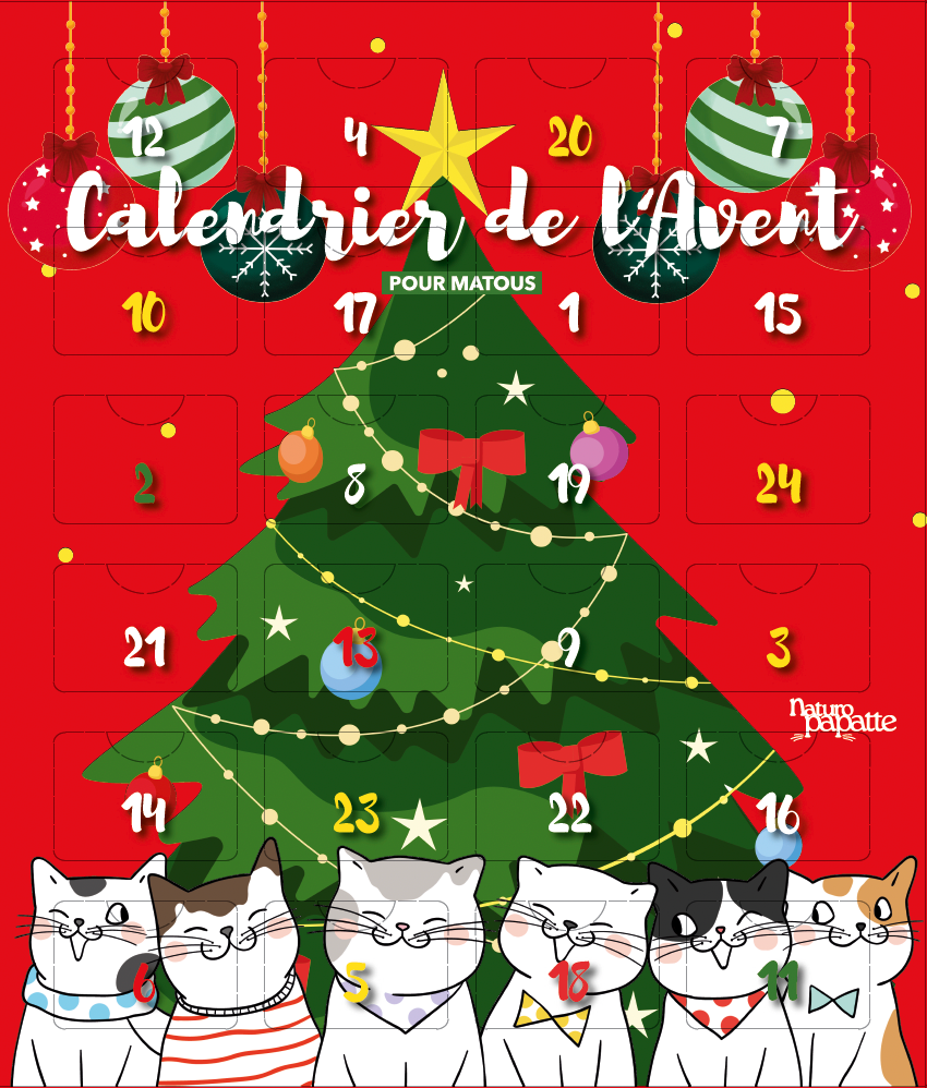 Calendrier de l'Avent chat