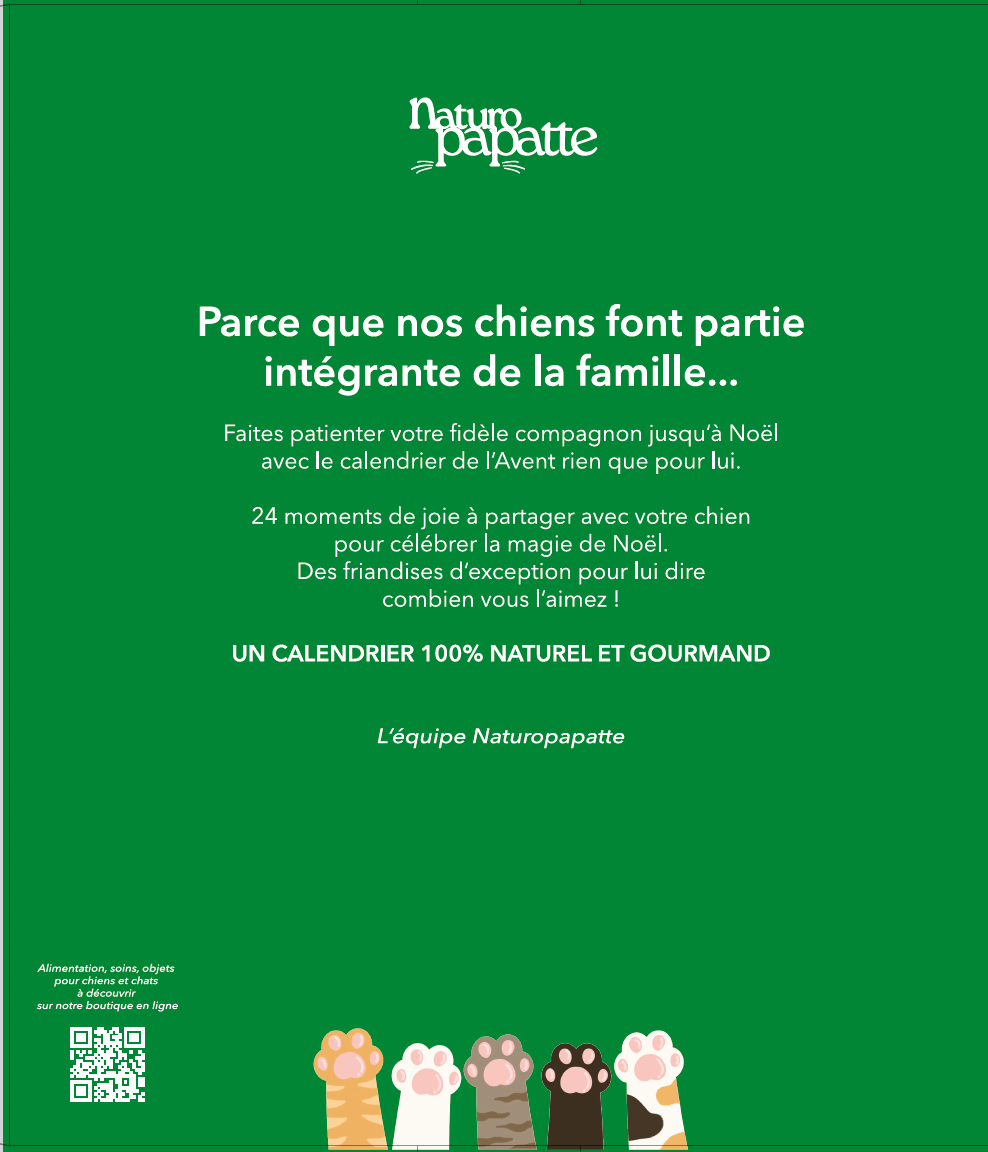 Calendrier de l'Avent chien