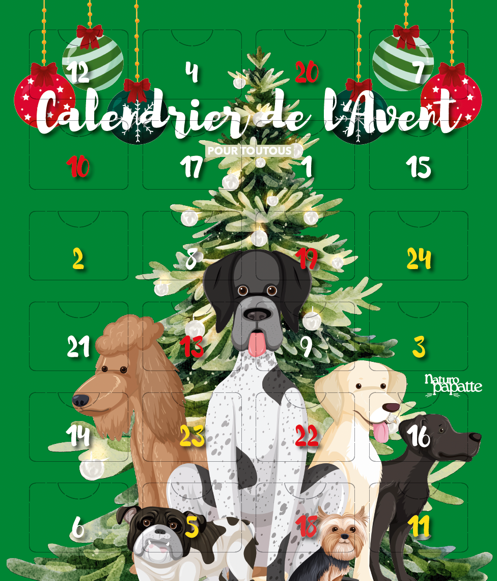 Calendrier de l'Avent chien