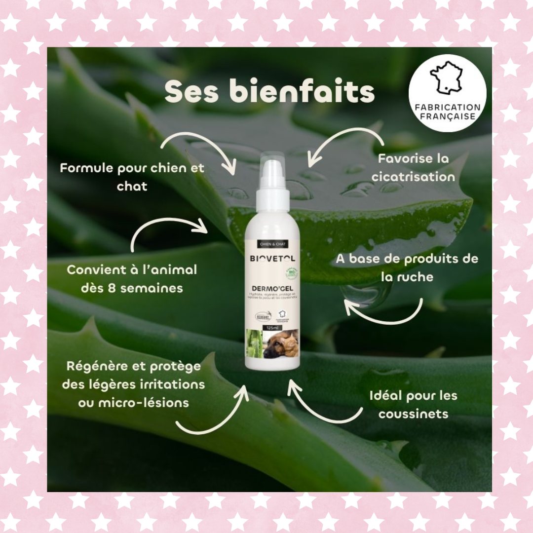 Dermogel chien flacon spray ses bienfaits