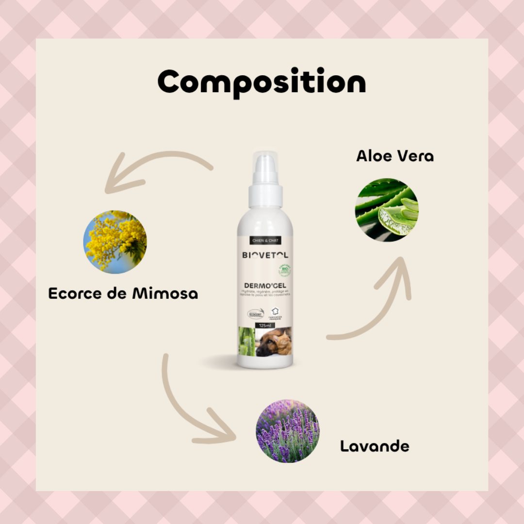 Dermogel chien flacon spray sa composition