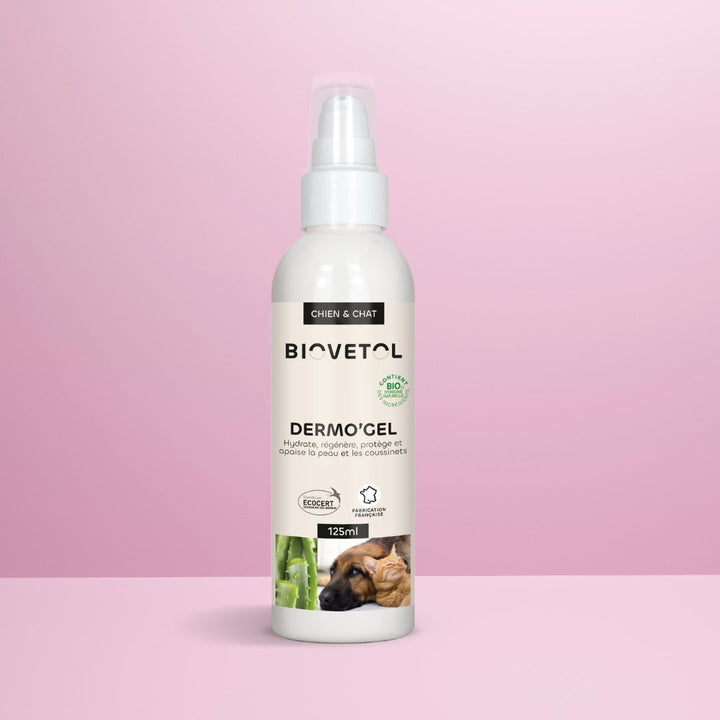 Dermogel chien flacon spray
