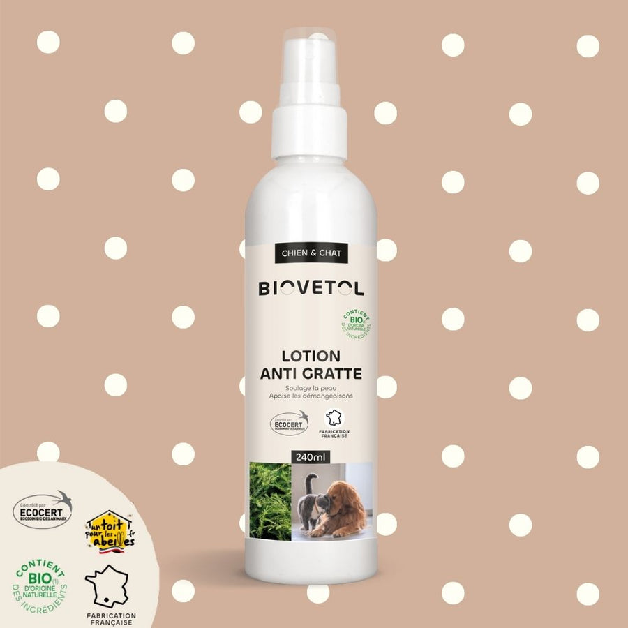 flacon spray anti grattage chat et chien