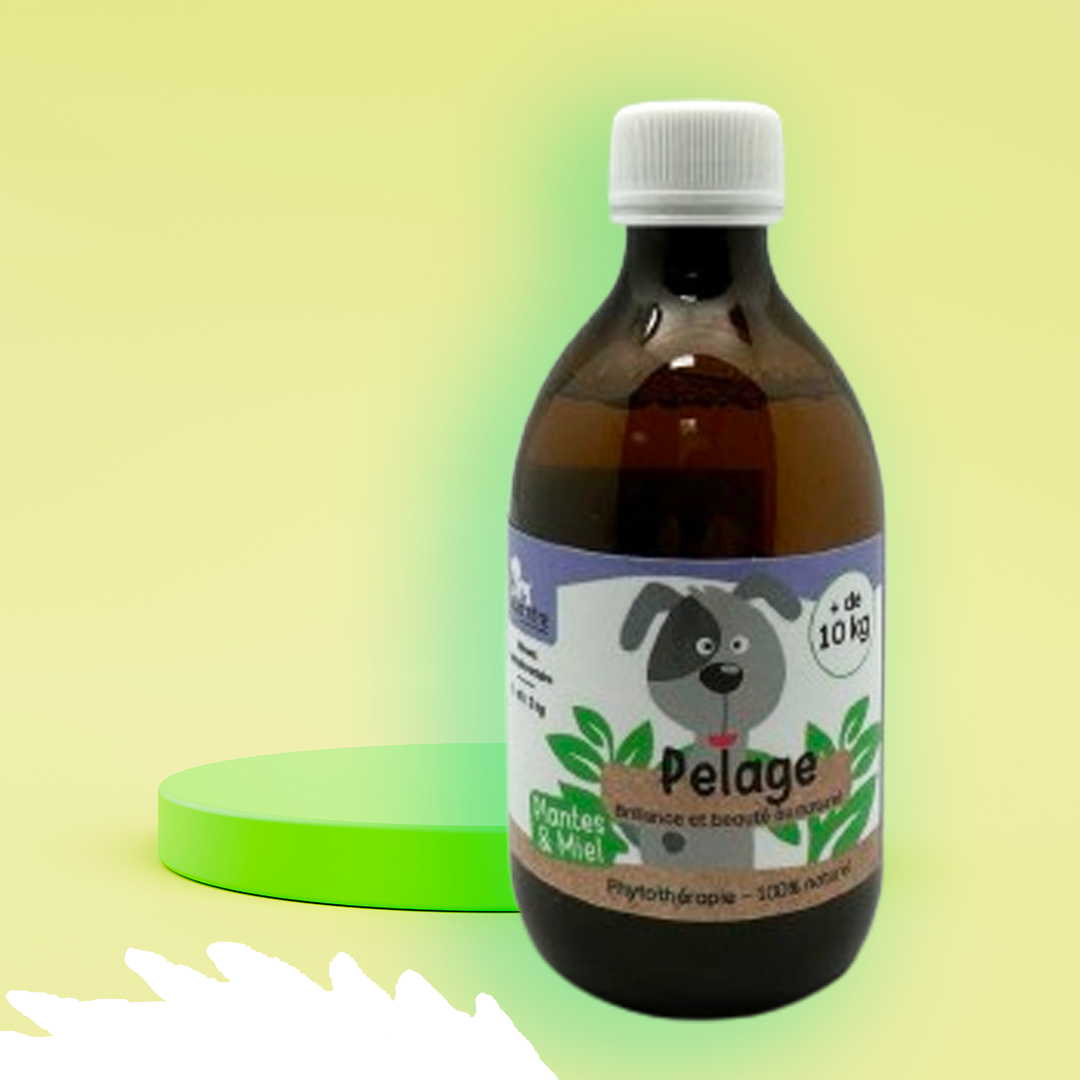 Sirop Pelage chien de plus de 10 kg