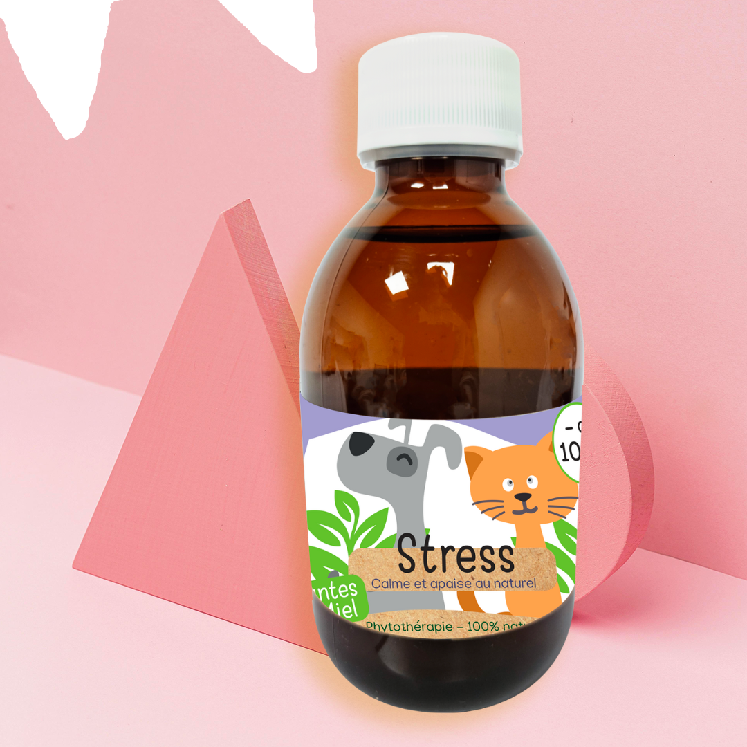 Sirop Stress chat et petit chien de moins de 10 kg