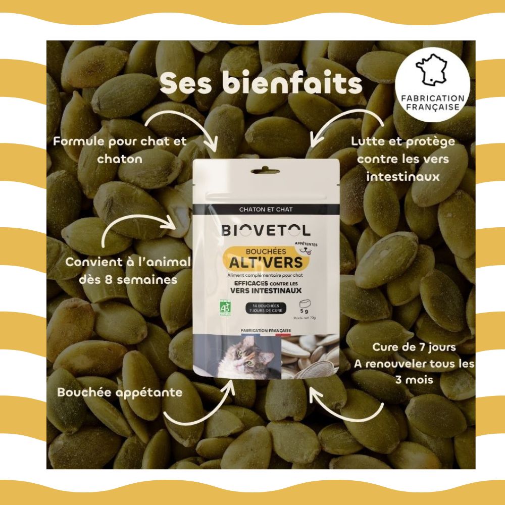 visuel de graines de courge et bienfaits des bouchées Alt'vers pour chat