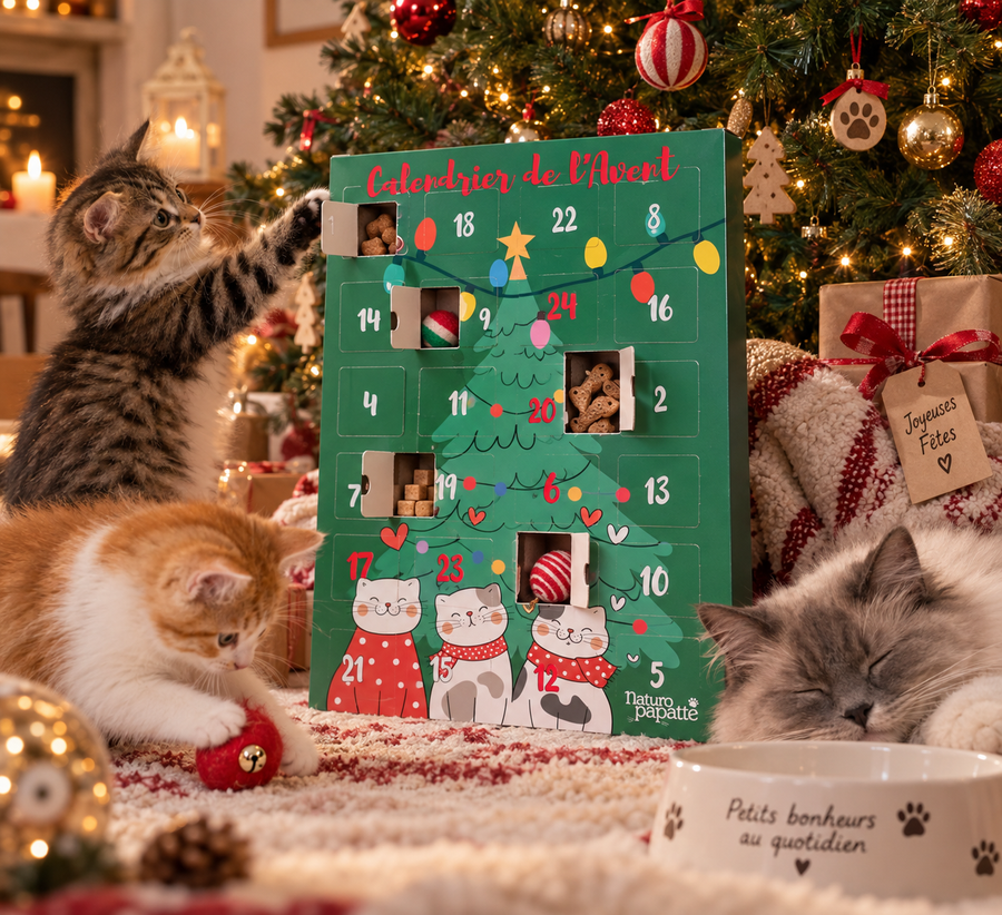 ambiance noel chat calendrier de l'avent