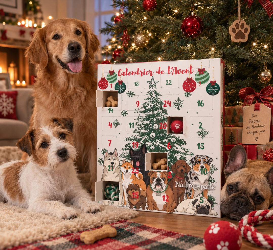 calendrier de l'avent pour chien ambiance noel