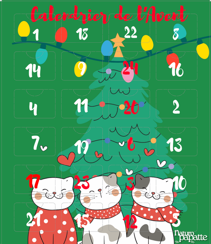 calendrier de l'avent chat 2026