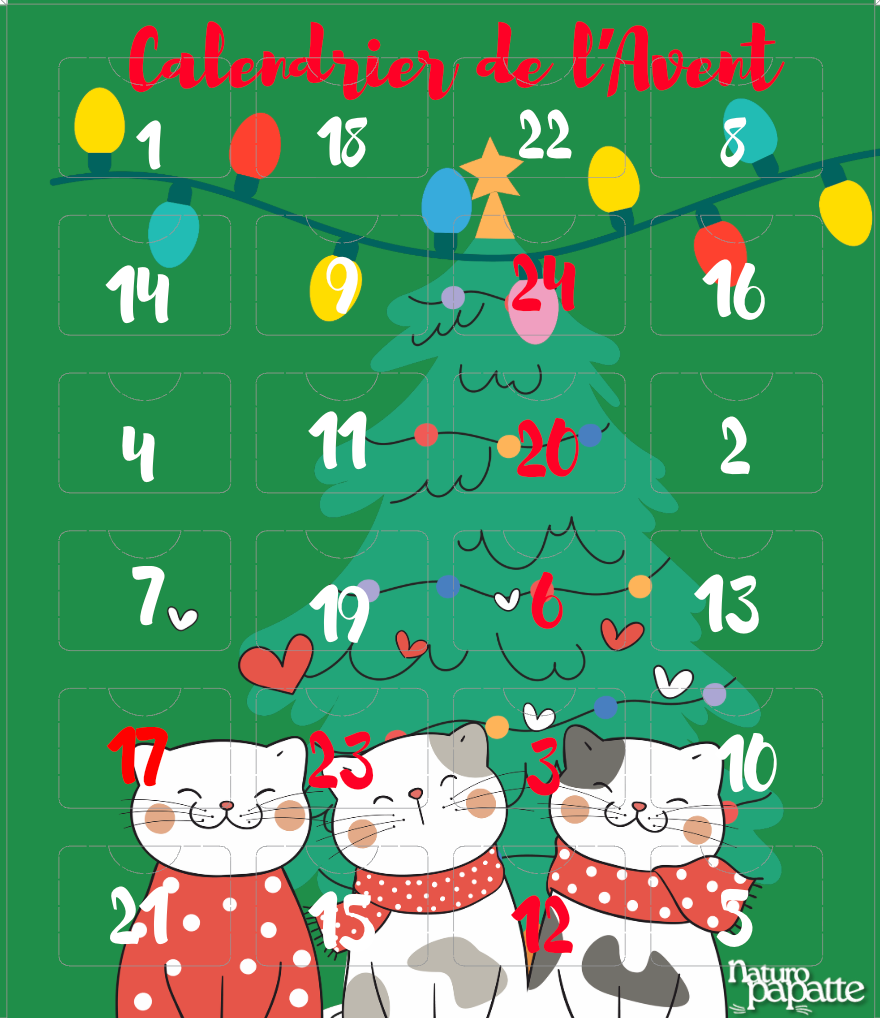 calendrier de l'avent chat 2026