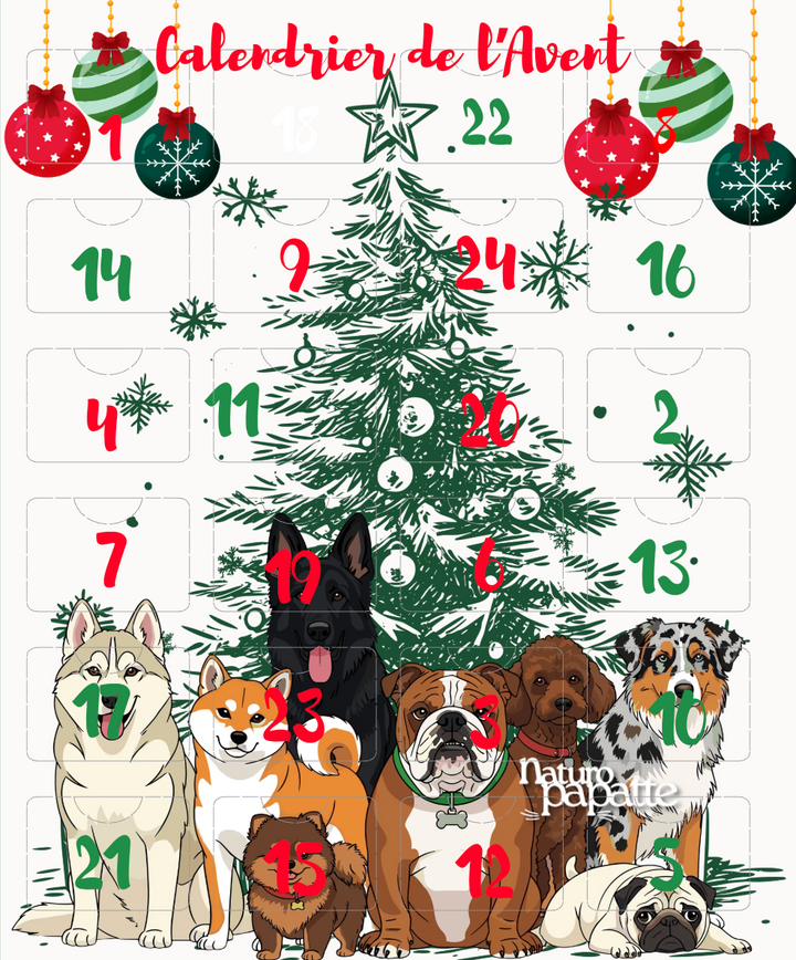 calendrier de l'avent chien